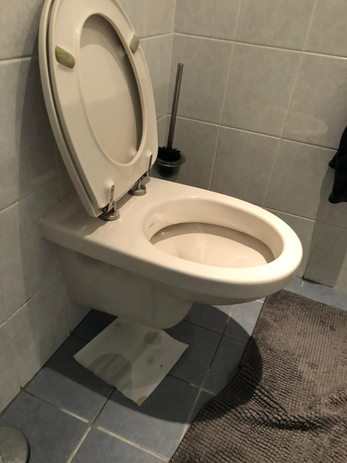 hangtoilet Hattem
